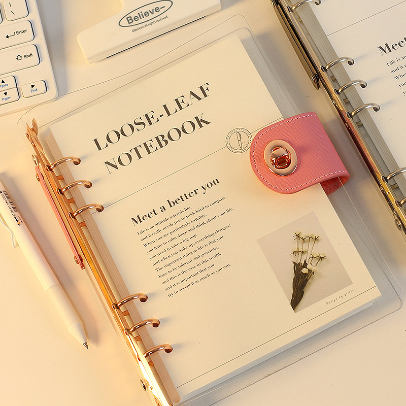 Ring Binder Box - A5 B5 Roségold mit Brieftaschenknopf, 90