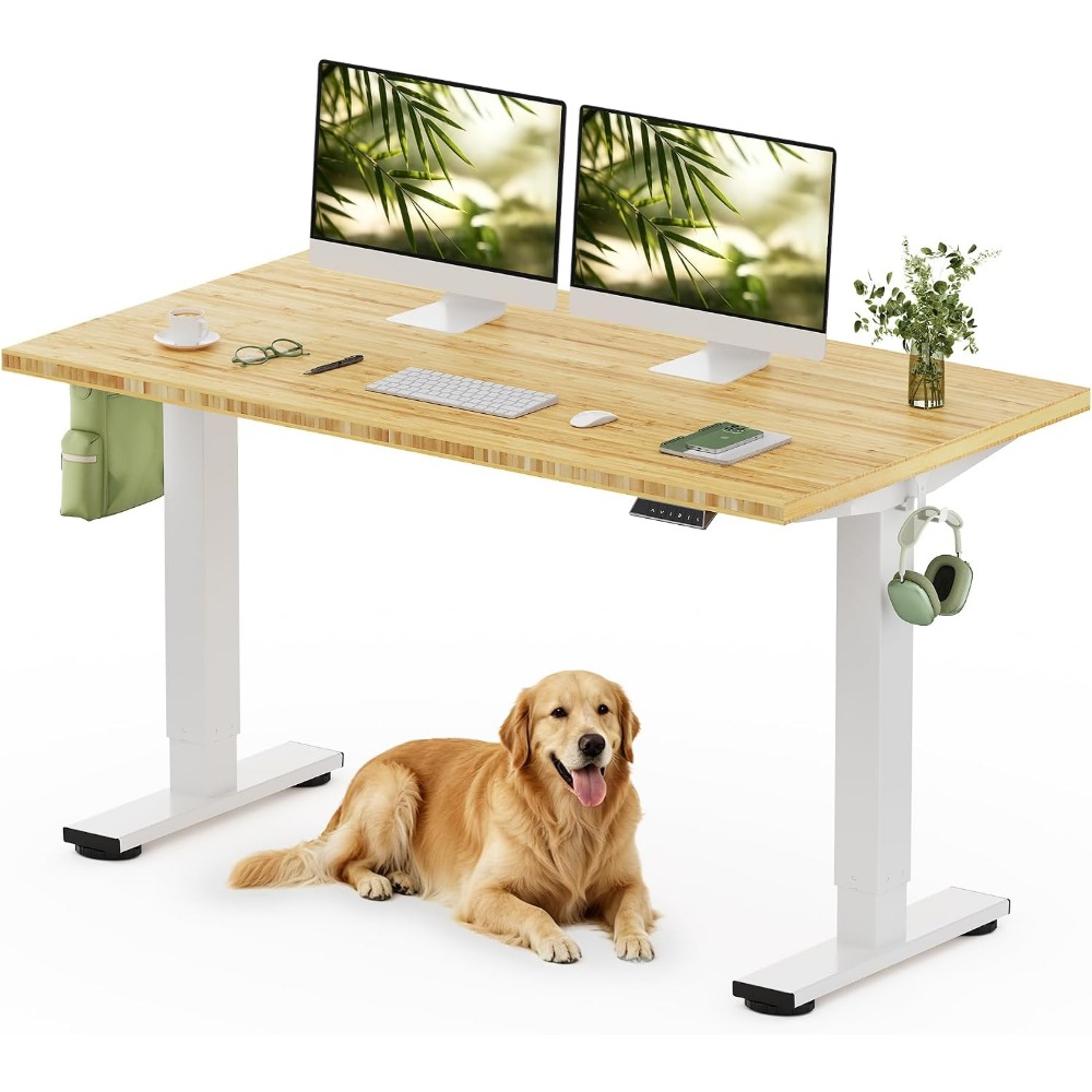 Desk Setup Home Office - FLEXISPOT 55