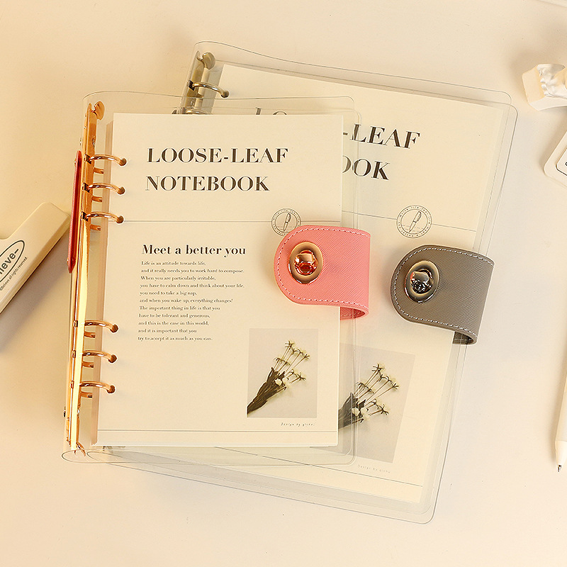 A5 B5 Roségold mit Brieftasche – Ring Binder Box Bewertung und Preis