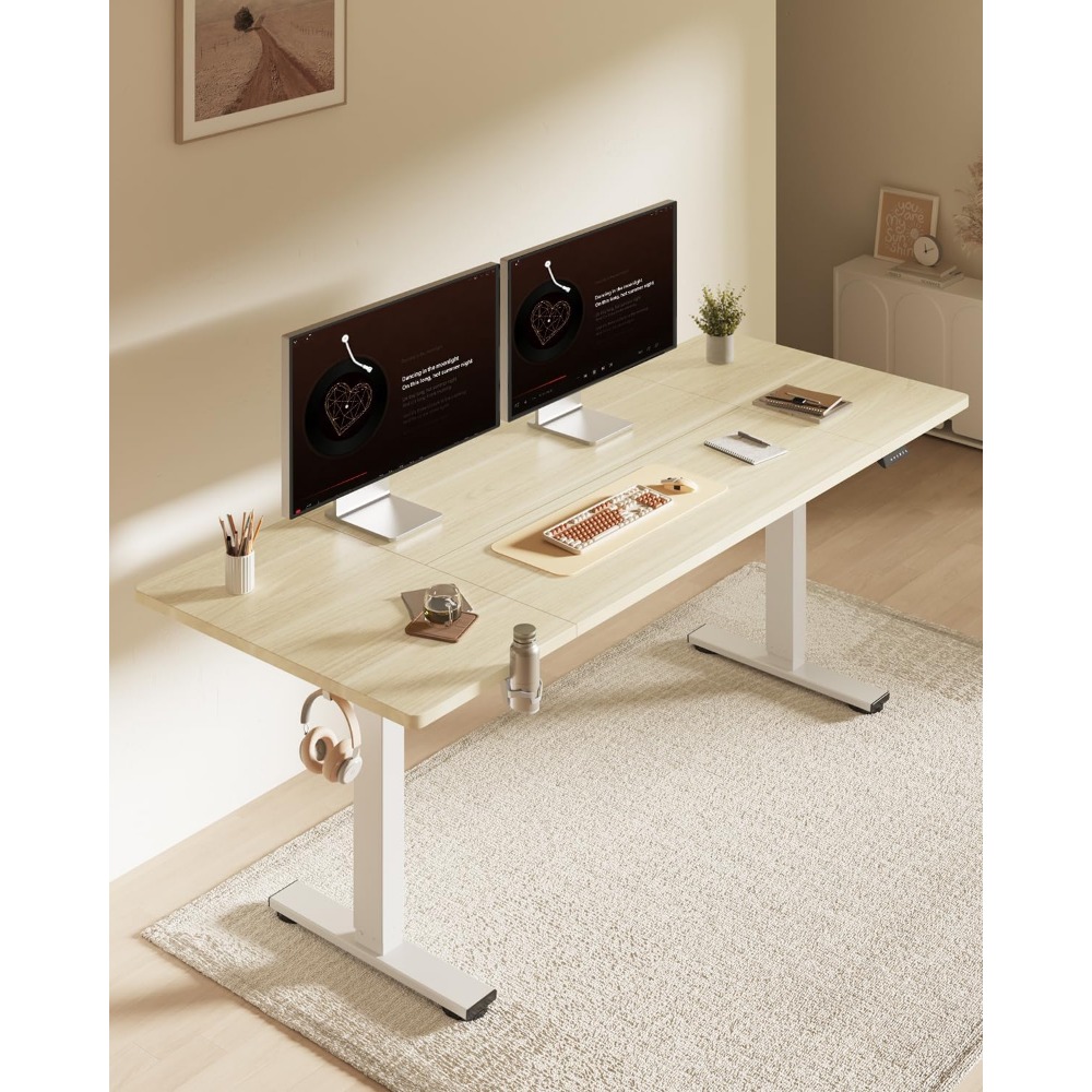 FLEXISPOT 63x32 Zoll elektrisc – Desk Setup Home Office Bewertung und Preis
